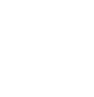 Punchev Studio